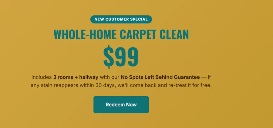 Carpet cleaning promotional banner